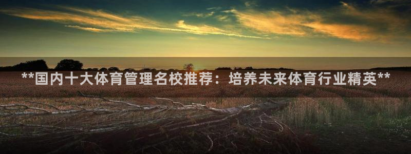 必一体育运动app下