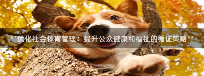 必一运动验证码：**