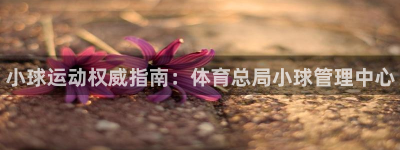 必一体育app下载安