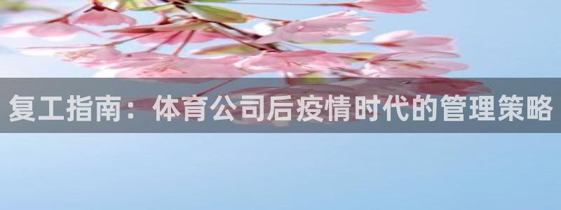 必一体育手机下载：复