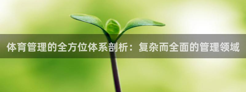 必一体育是哪里的台子