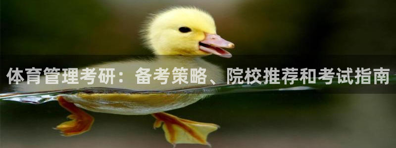 必一体育官方网站入口