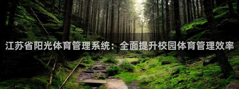 必一体育登录入口AP