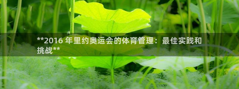 必一体育运动官网：*