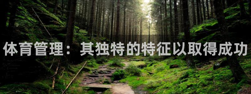 必一体育下载app：