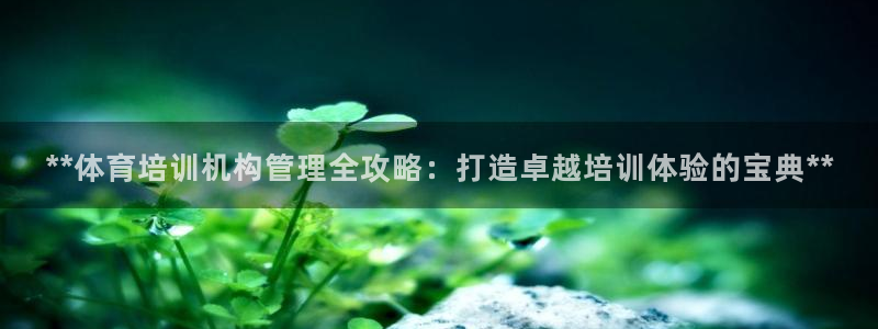 必一体育sport下