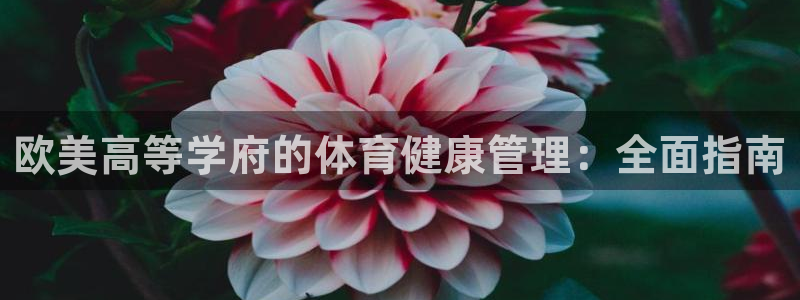必一体育手机下载：欧