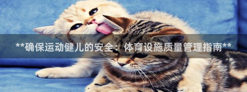 必一体育合法吗：**