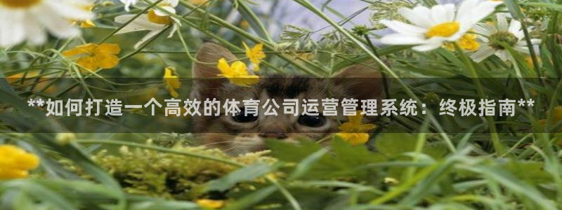 必一体育登陆：**如