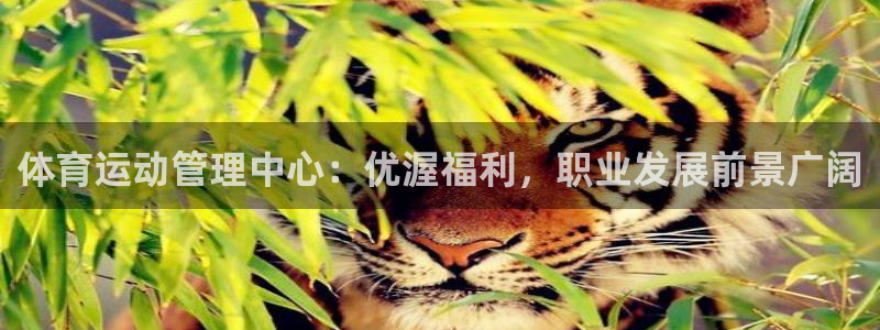必一体育最新官网入口