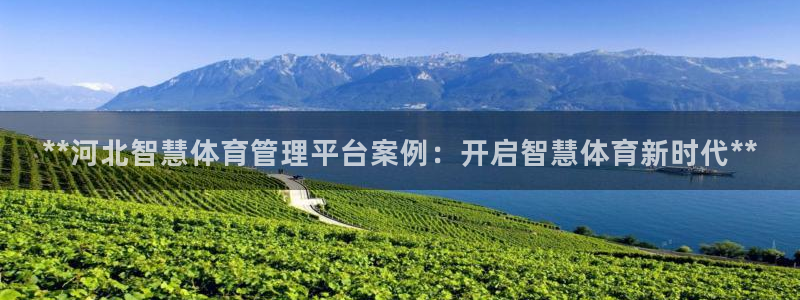 必一运动sport网