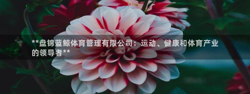 必一体育app下载安