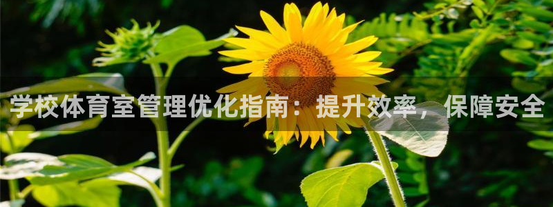 必一体育手机下载：学