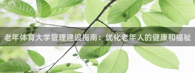 必一体育网站：老年体