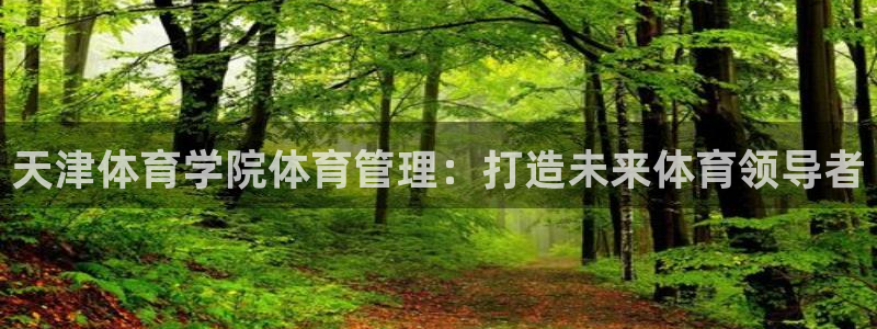必一体育登陆：天津体