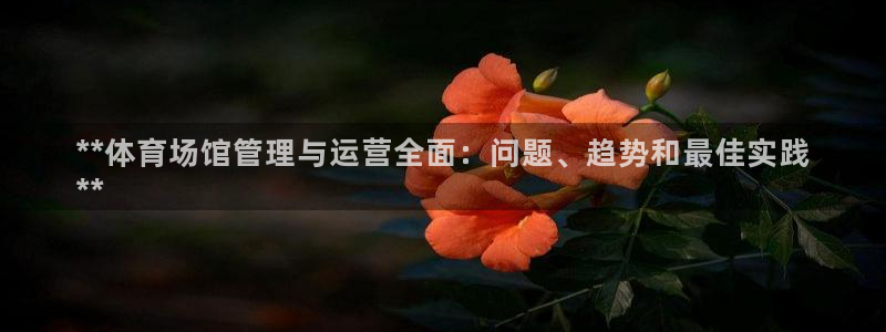 必一体育在线官网：*