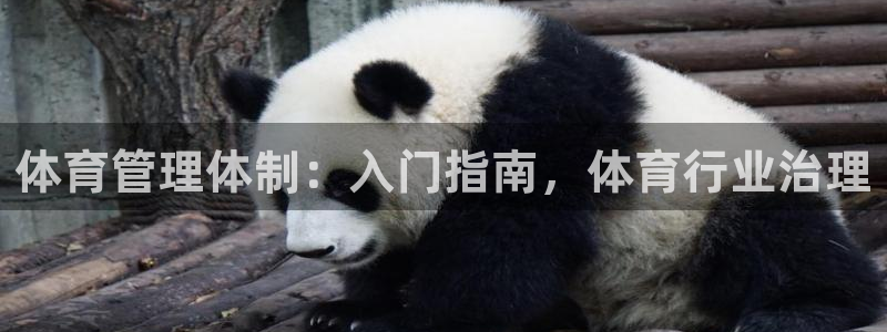 必一体育周公：体育管