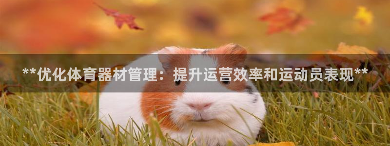 必一体育网页登陆：*