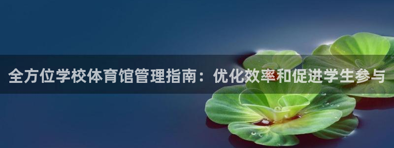 必一运动体育app：