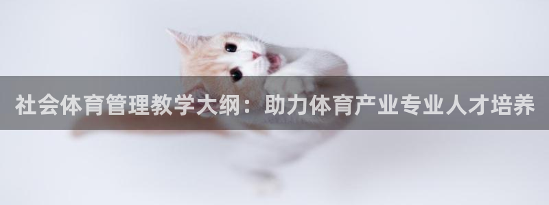 必一体育黑钱：社会体