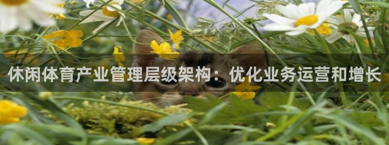 必一体育sport：