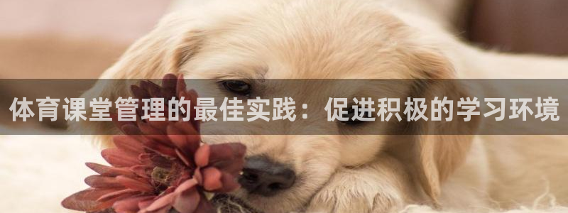 必一体育合法吗：体育