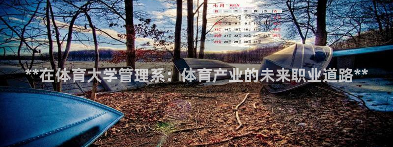 必一体育官网app：