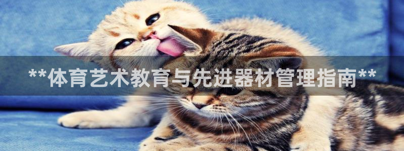 必一体育是啥：**体
