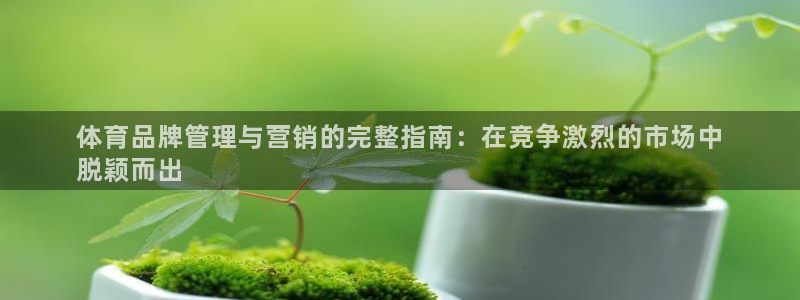 必一体育app下载装