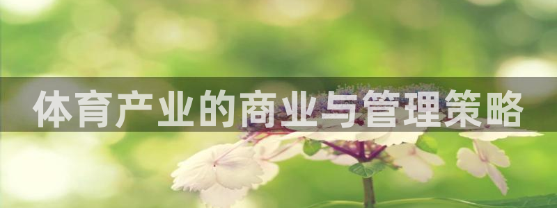 必一体育官方下载：体