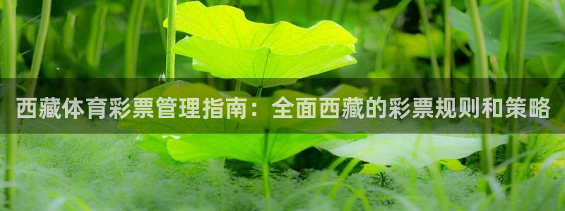 必一体育验证码：西藏