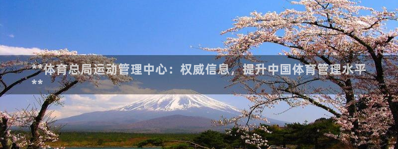 必一体育官方下载入口