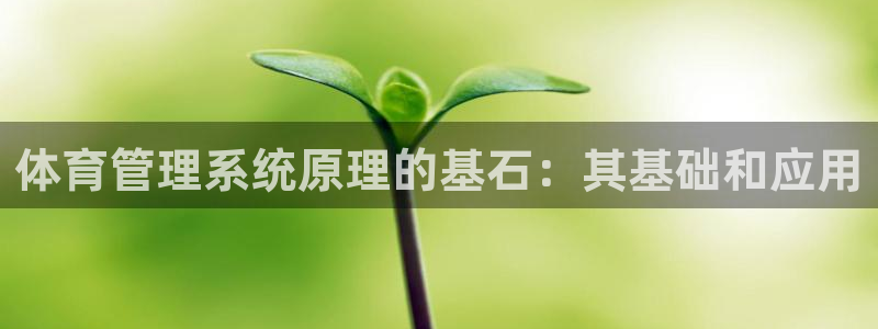 必一体育怎么下载：体