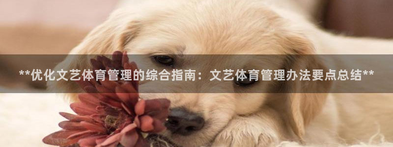 必一运动·(B-Sp