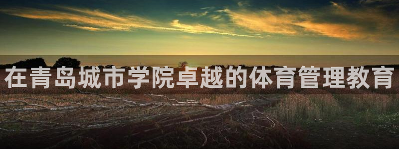 必一体育sport官