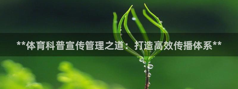 必一体育运动官网：*