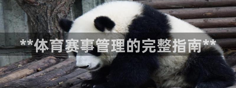 必一体育游戏特色：*