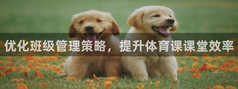 必一体育官方下载：优