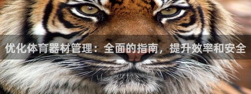 Bsport体育必一