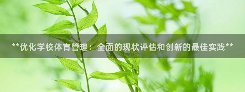 必一体育流水线是什么