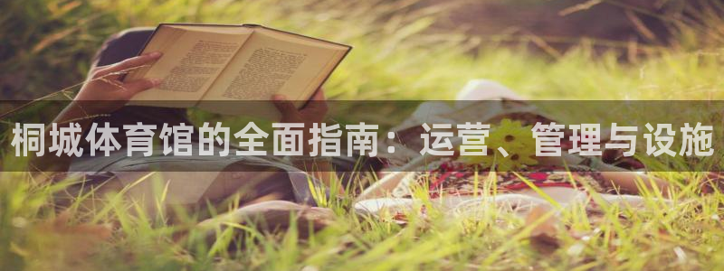 必一体育官方入口：桐