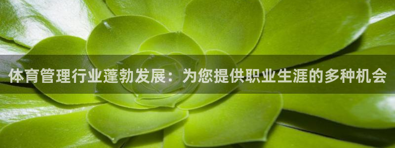 必一体育下载登入：体