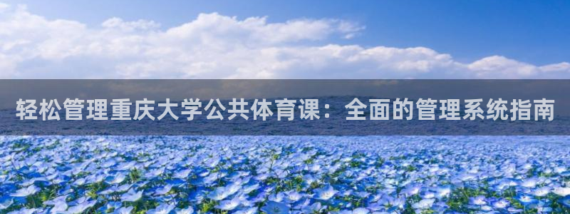 必一体育没了：轻松管