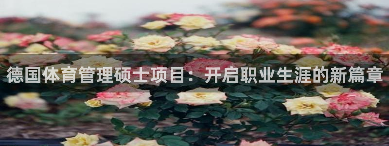 必一体育sport：