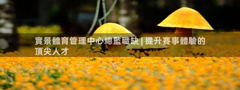 必一运动·(B-Sp