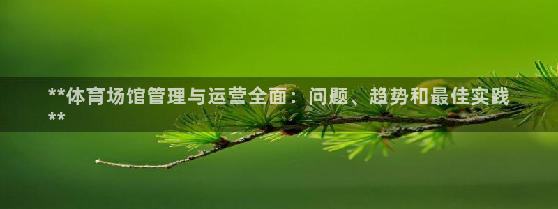 必一体育sportB
