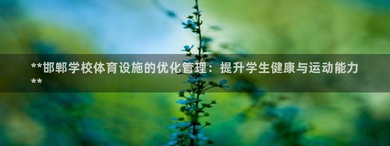 必一体育app下载装