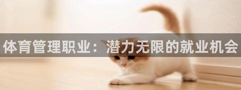 必一体育官方app下