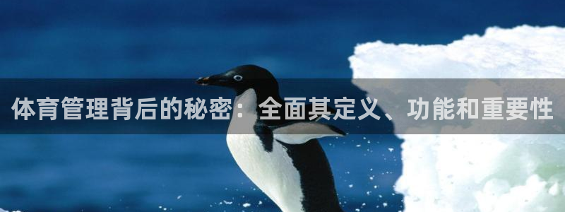 必一体育合法吗：体育