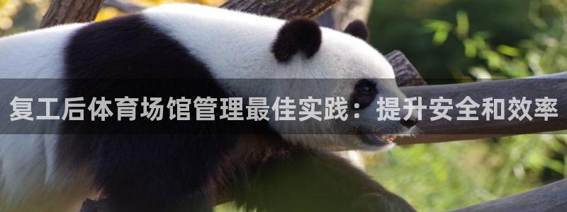 必一运动官网入口：复